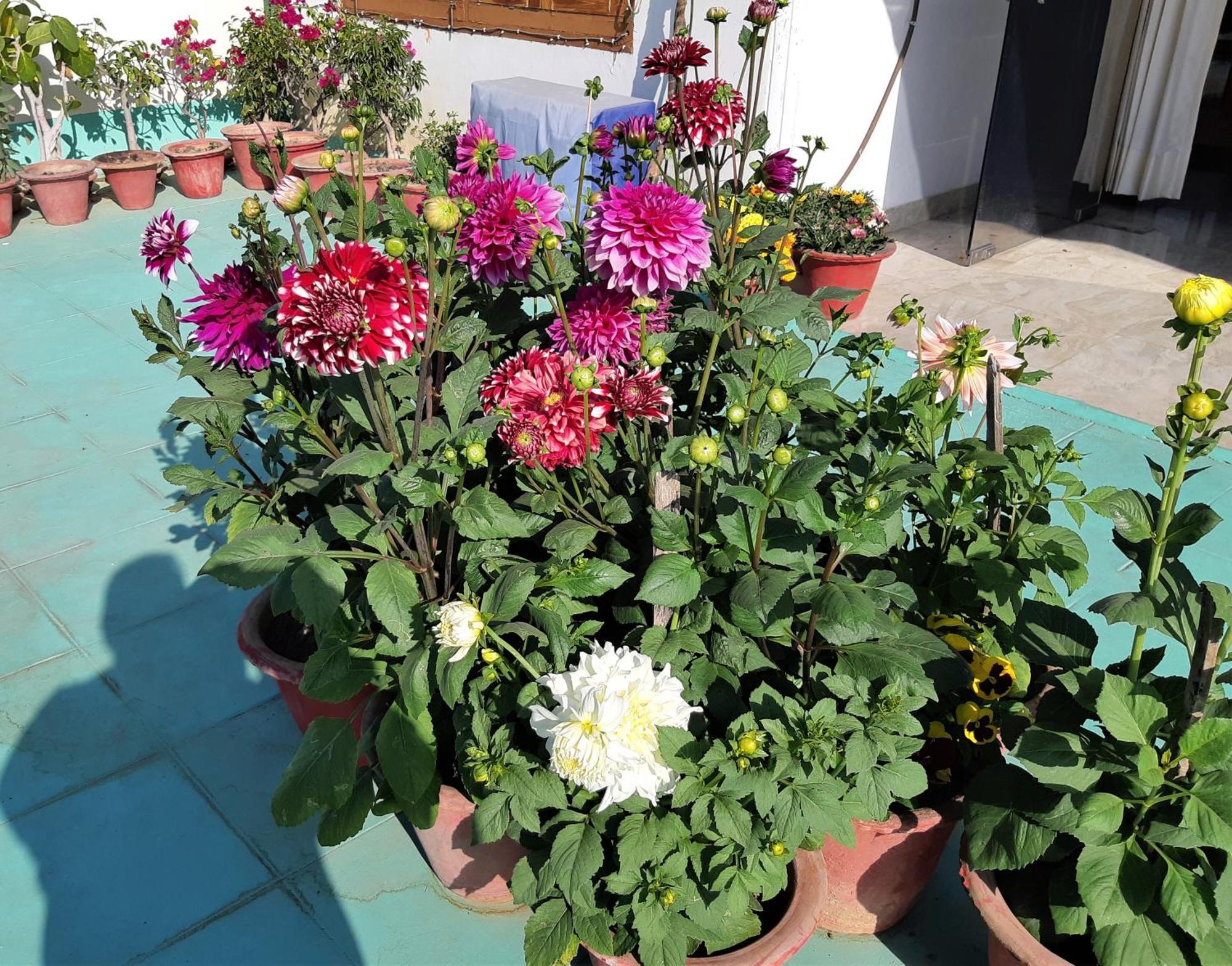 Fully Furnished Ish, Atithya Homestay With Various Amenities And Free Services In Lucknow, India Exterior photo